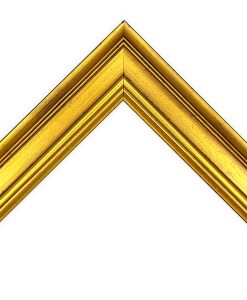 Slim Academie Gold