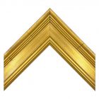 Wide Academie Gold