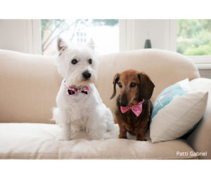 Pet Photo by Patti Gabriel - Printed by Diversified Lab