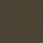Color Swatch - Rock