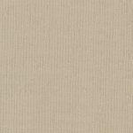 Color Swatch - Platinum