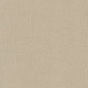 Color Swatch - Platinum