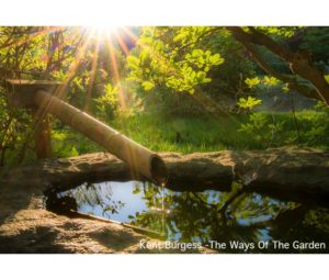 Nature Photo by Kent Burgess - Printed by Diversified Lab