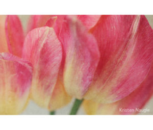 Artistic Flower Photo by Kristen Naugle - Printed by Diversified Lab
