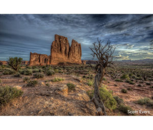 Nature Photo by Scott Evers - Printed by Diversified Lab