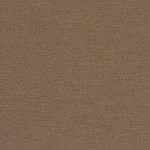 Color Swatch - Roast