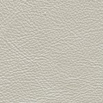 Pearl leather swatch
