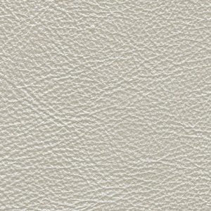 Pearl leather swatch